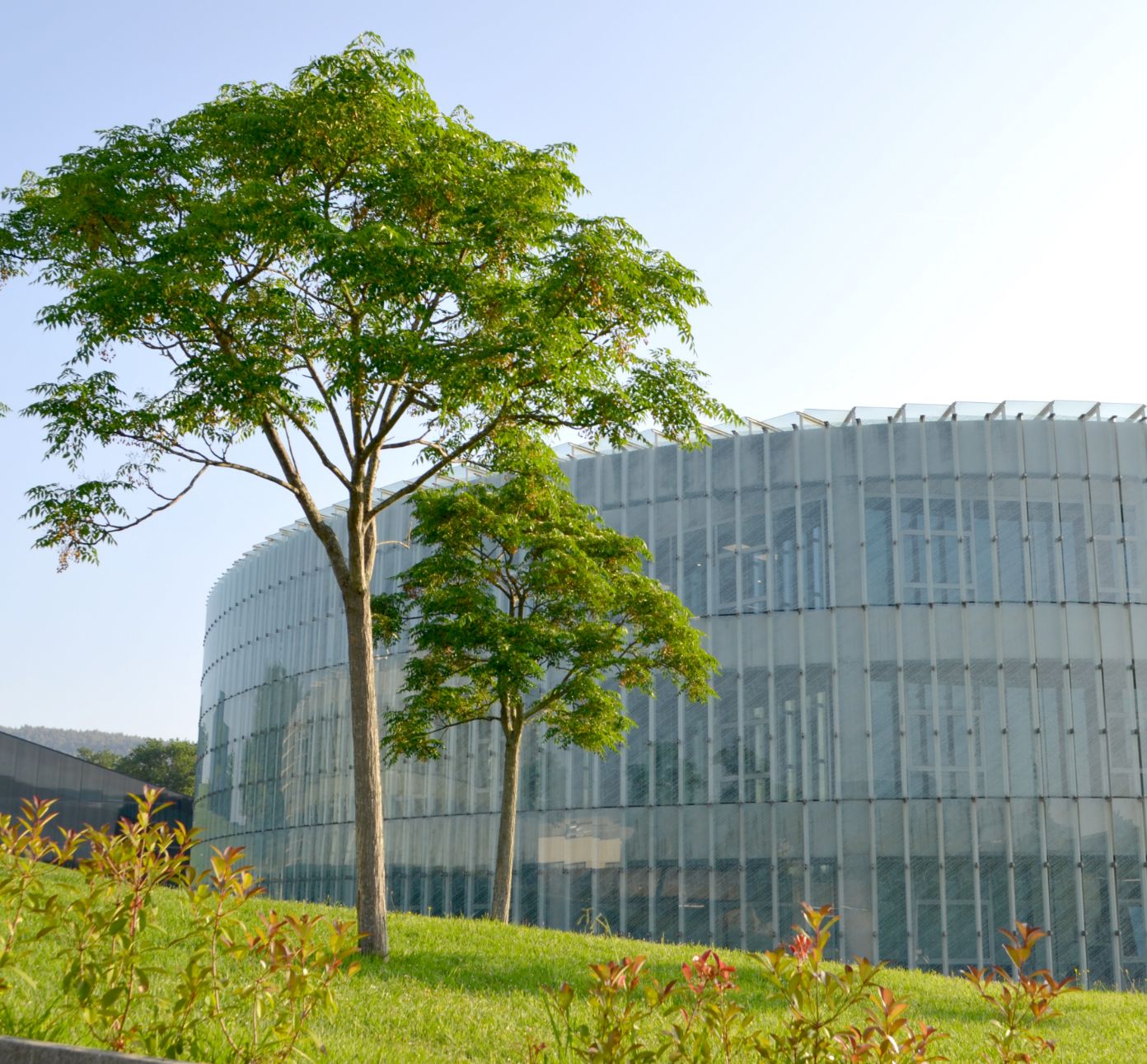 owl metabolomics headquarters